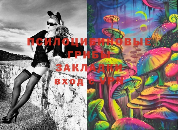 apvp Алексеевка